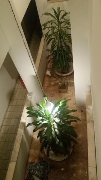 New Byblos Hotel Brasilia Esterno foto